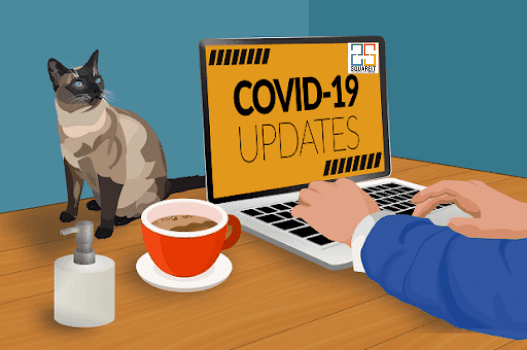 How To SEO your Company Website During Covid-19 Lockdown